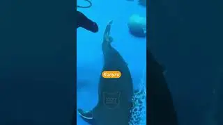 КАЛУГА Настоящий Монстр Которого боятся ВСЕ РЫБЫ