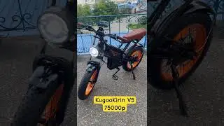 17 августа 2024 г.