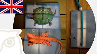 CSL: X-Ray Techniques on Reptiles