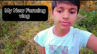 खेत पर क्या आ गया || #@SourabhJoshi @monajdeyvlog