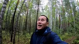 Профессия психолога, стоит ли на неё учится