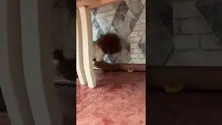 😅😅😅