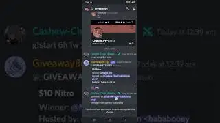 Imagine winning Nitro in @Beluga1  discord server lol