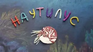 Наутилус. Nautilus.Пластилиновый познавательный мультфильм. Plasticine Animation.