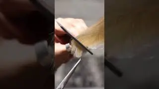 Стрижка от Виктора Аляпского 