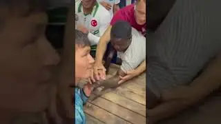 🇹🇳Туркияда өткен командалық көкпар. Шабандоздар өздерінің мықтылығын көрсетуде💪🇰🇿👍🔥