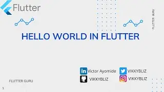 Flutter Beginner Project : Hello World App