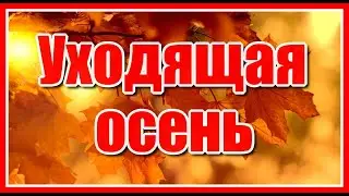 Уходящая осень✦ -  Красивая музыка для души, композиция  Сергея Грищука