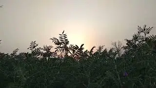 Beautiful View ♥️😍