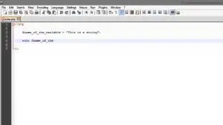 PHP Basics to Advance tutorial 3: Variables