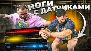 КАЧАЕМ НОГИ ПО НАУКЕ: КВАДРИЦЕПС