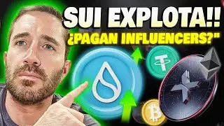 💥SUI EXPLOTA!! ¿Qué está pasando? Mejores OPORTUNIDADES!!
