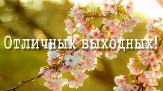 Прекрасных выходных
