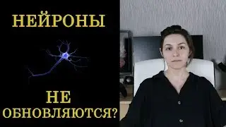 [Мифы о мозге] Нервные клетки не восстанавливаются #2