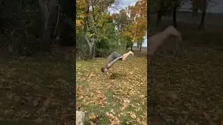 Осенние сальто !!!