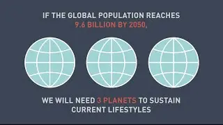 Safeguarding the Future - Facts and Trends