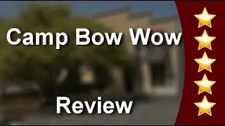 Camp Bow Wow San AntonioExceptional5 Star Review by Minerva Gorjon