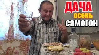 Dacha. Autumn. Moonshine. Silver carp for a snack.