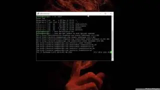 To proste - Linux - aktualizacja w terminalu