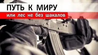 ПУТЬ К МИРУ ИЛИ ЛЕС НЕ БЕЗ ШАКАЛОВ | Аналитика Юга России