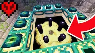 I Built a FAKE End Portal
