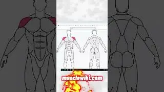 body building 