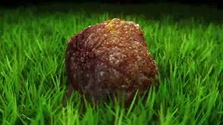 Mystery Egg