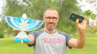 RC Bird Unboxing - Remote Contro Flying Toy - Aliexpress