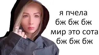 the world is a honeycomb