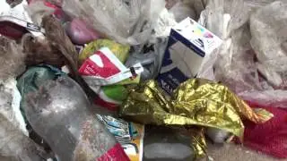 Dia Mundial de Limpeza de Rios e Praias 2015 - Baixada Santista