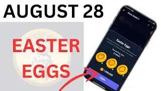 Rocky rabbit Easter eggs today August 28