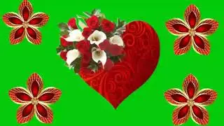 Flowers green screen effects rose green screen effects rose green screen effects rose green screen