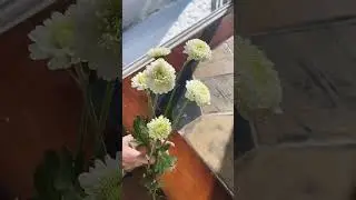 Spray mums - perfect for DIY flower arrangements