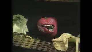 Tomato Song from Young Ones