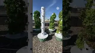Transformer le toit d’un hôpital en jardin pour les patients
