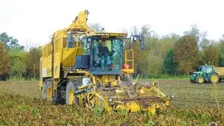 SUGAR BEET 2016 llRopa Euro Tiger V8-3ll