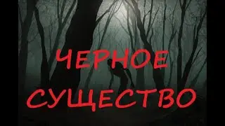 Страшные истории из жизни Черное существо