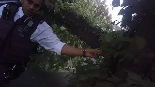 15/07/23 - stopped by police...trying to go underneath a fallen tree...17:15
