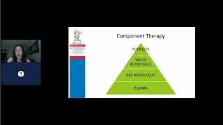 The 5 W's and H of Veterinary Transfusion Medicine