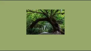 A Playlist For Running Away Into The Woods