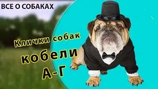 Клички собак. Кобели. А-Г.