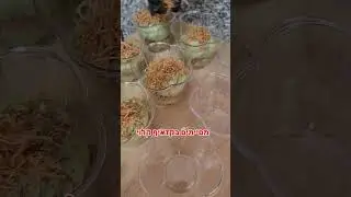 כוסיות פיסטוק קדאיף