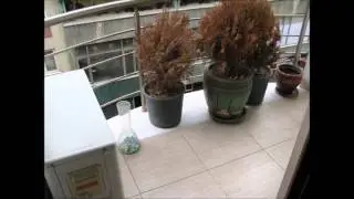 Slayt Satılık Sarı Konak