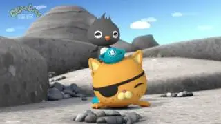 Octonauts The Adelie Penguins