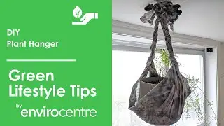 DIY Plant Hanger