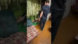 Семейные разборки