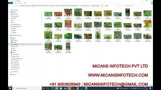 Identification of Disease In CHILLI PLANT Using CNN Method | PYTHON CODE | IMAGE PROCESSING PYTHON