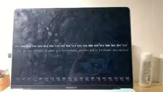 Tyler1 scream has BSOD