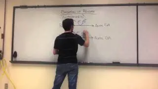 Lecture Review - Oxidation of Pyruvate (Biol 1406 Ch 9)