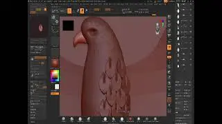 1 eagle 🦅 Zbrush 